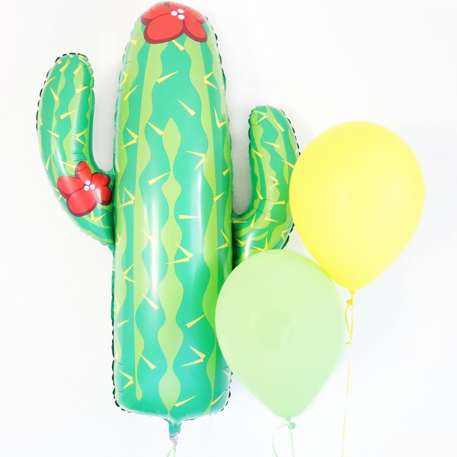 Cactus Balloon
