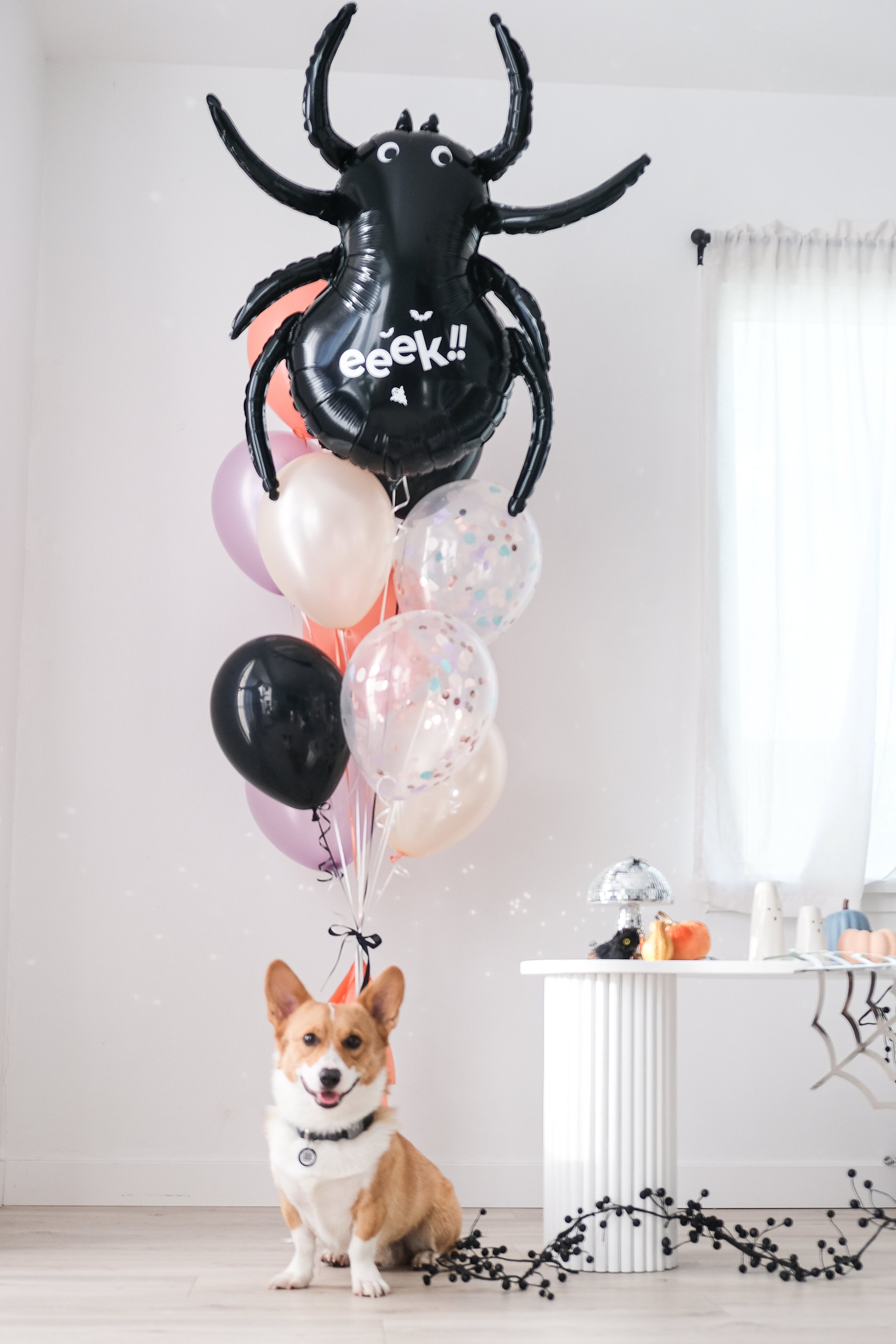 Eeek! Spider Balloongram